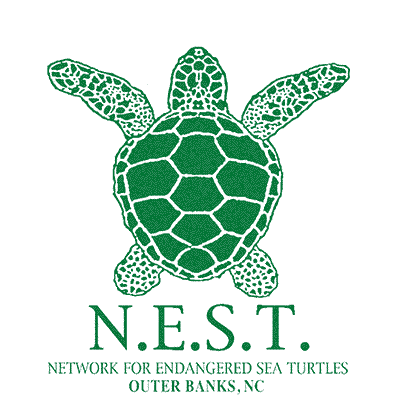 N.E.S.T. logo