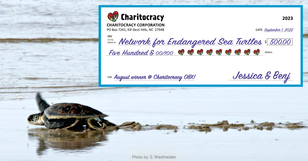 Charitocracy OBX's 23rd check to August winner Network for Endangered Sea Turtles for $500